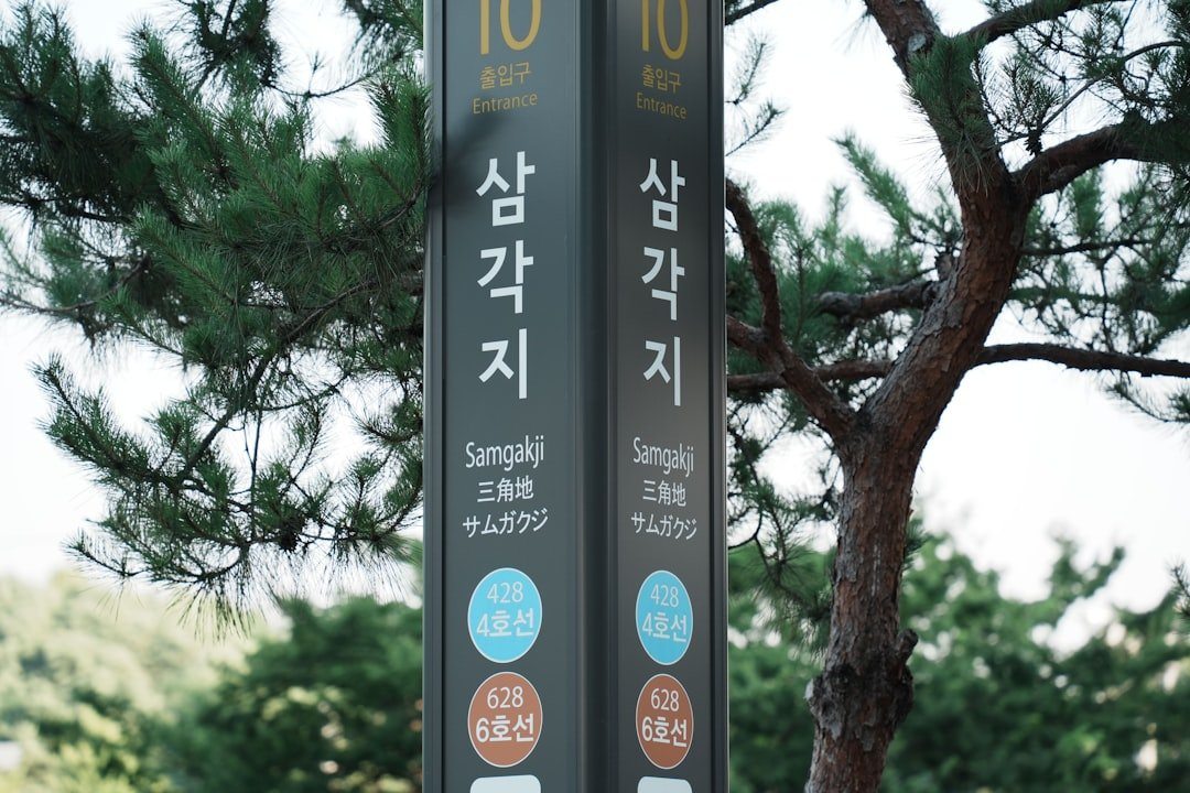 수입명품의류 참고 이미지 2