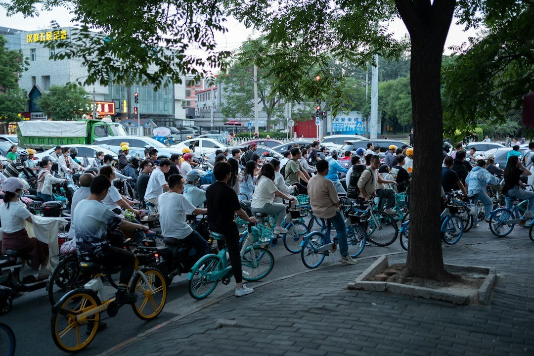 라이브클래스 참고 이미지 2